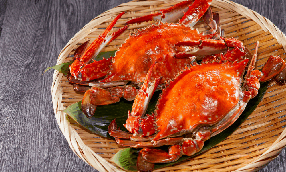 Hairy Crab Guide 2025